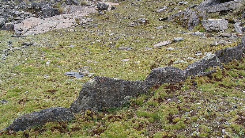 Illampu Trek Steves (18).JPG